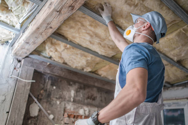 Best Insulation Maintenance and Repair in Nashville, TN
